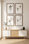 Set of 4 neutral bird wall art prints displayed in black frames in a minimalist Scandinavian interior
